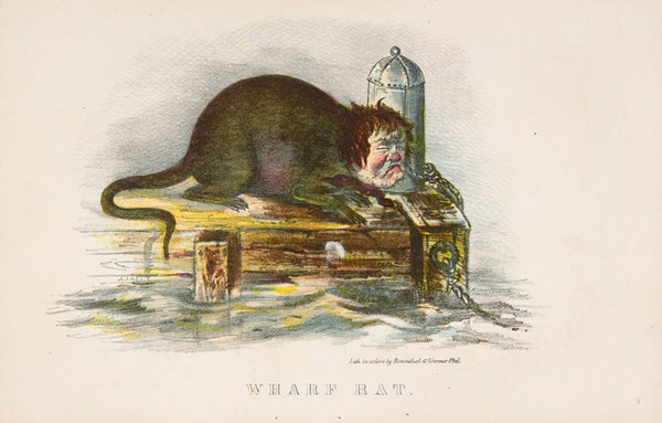 Wharf Rat 1851
