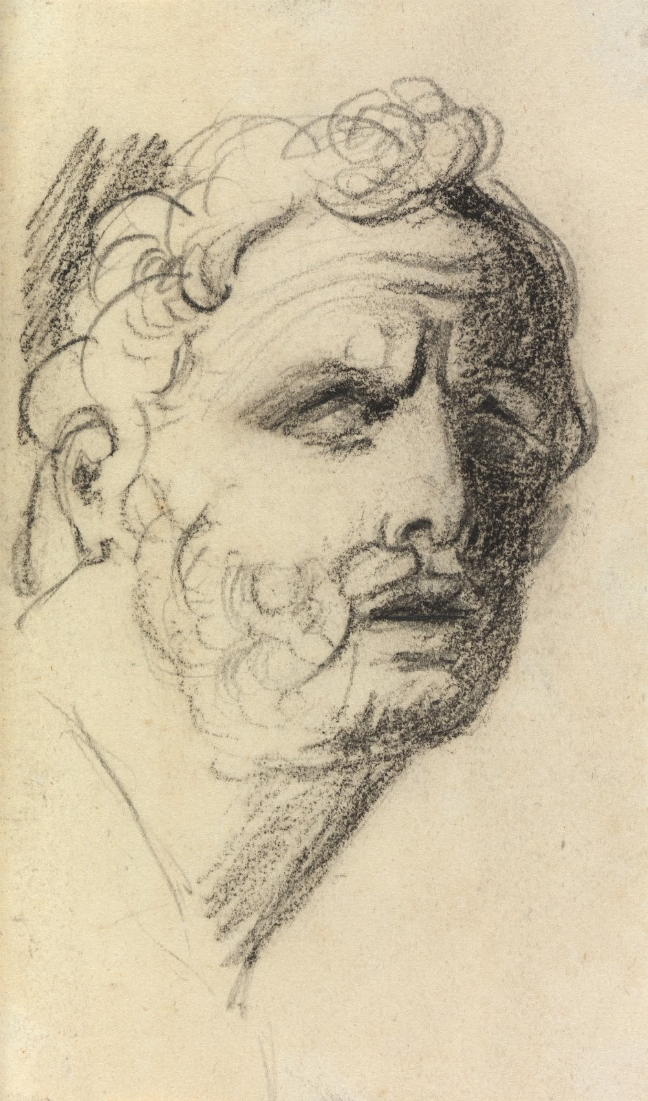 Portrait Study of a Man