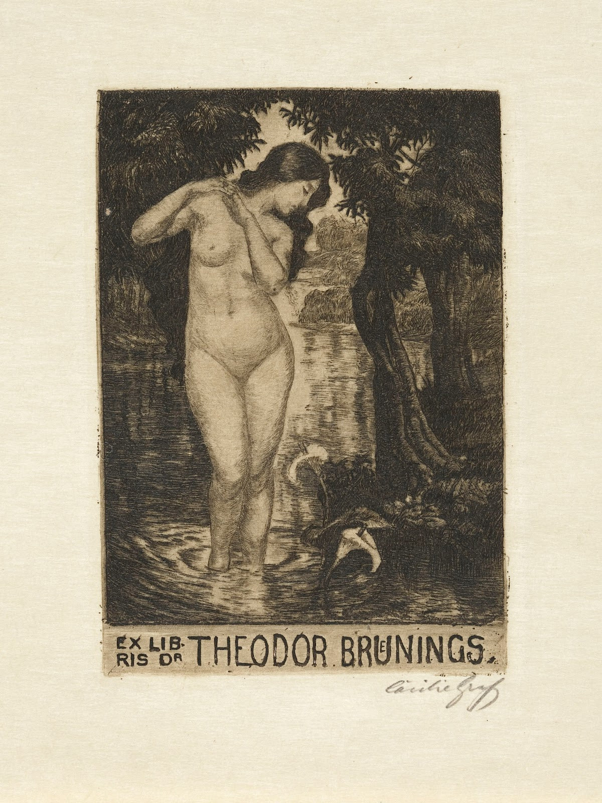 Bookplate of dr Theodor Bruenings after 1900