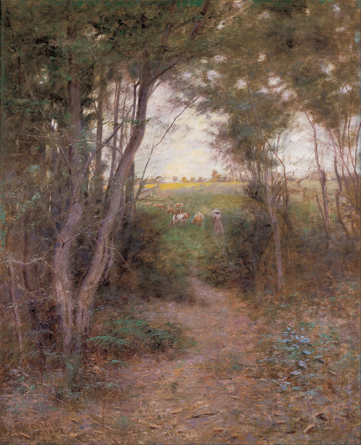 A ti tree glade 1897
