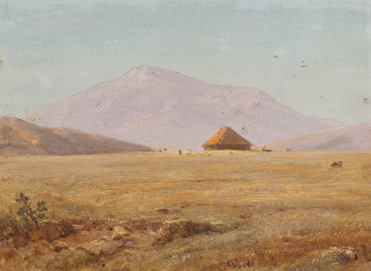 Ecuador mountain plateau with hut 1890