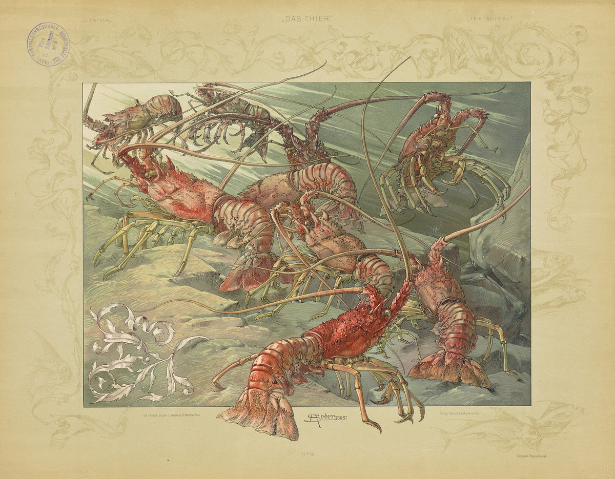 Das Thier in der decorativen Kunst Pl10 1896
