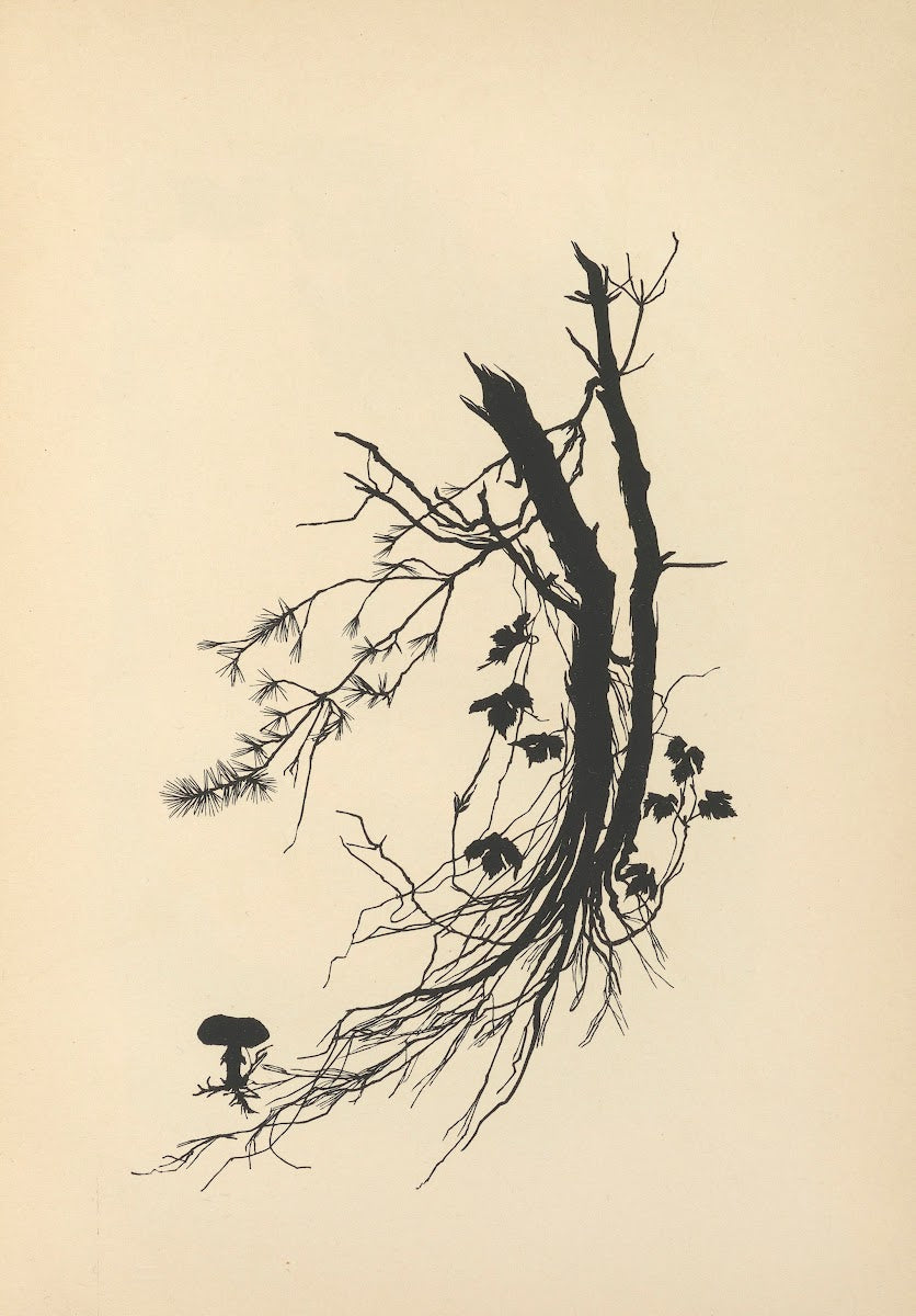 Vom Zufrieden Werden Pl39 1932