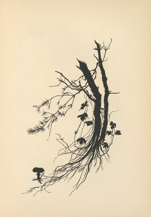 Vom Zufrieden Werden Pl39 1932