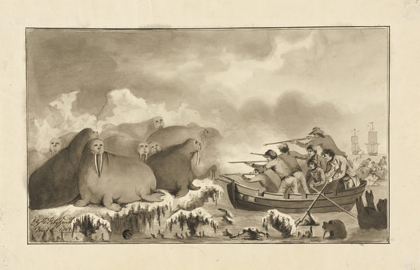 Walrus Hunt 1801