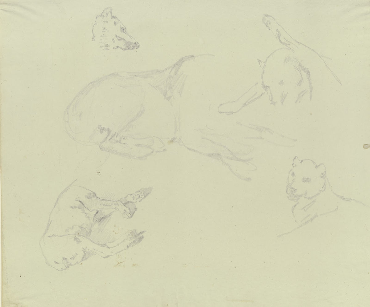 Lions and wolves ca 1831 1840