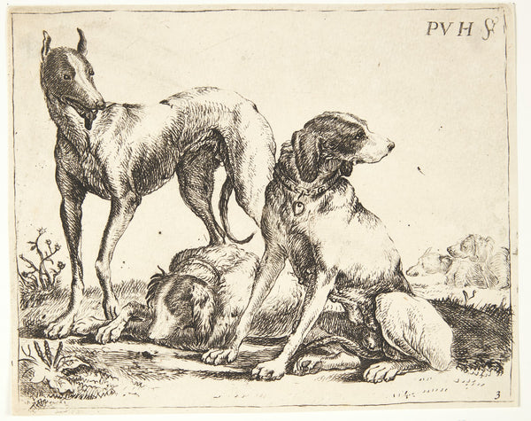 Tre hunde