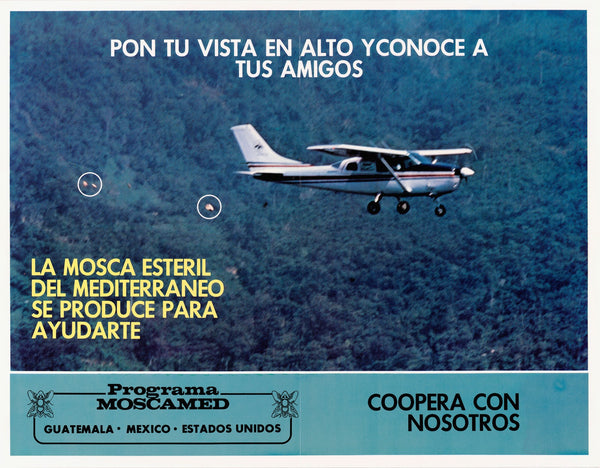 Pon Tu Vista En Alto Yconoce A Tus Amigos Programa MOSCAMED Guatemala Mexico Est