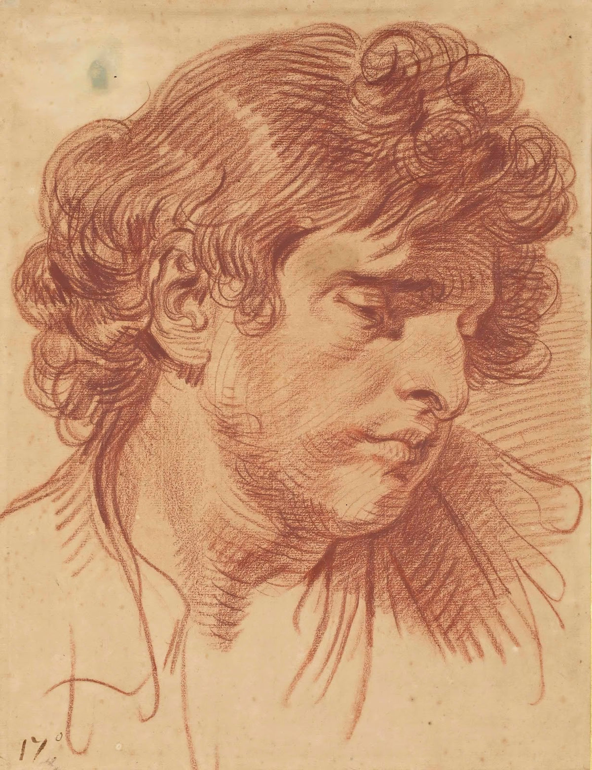 Tête dhomme aux cheveux bouclés