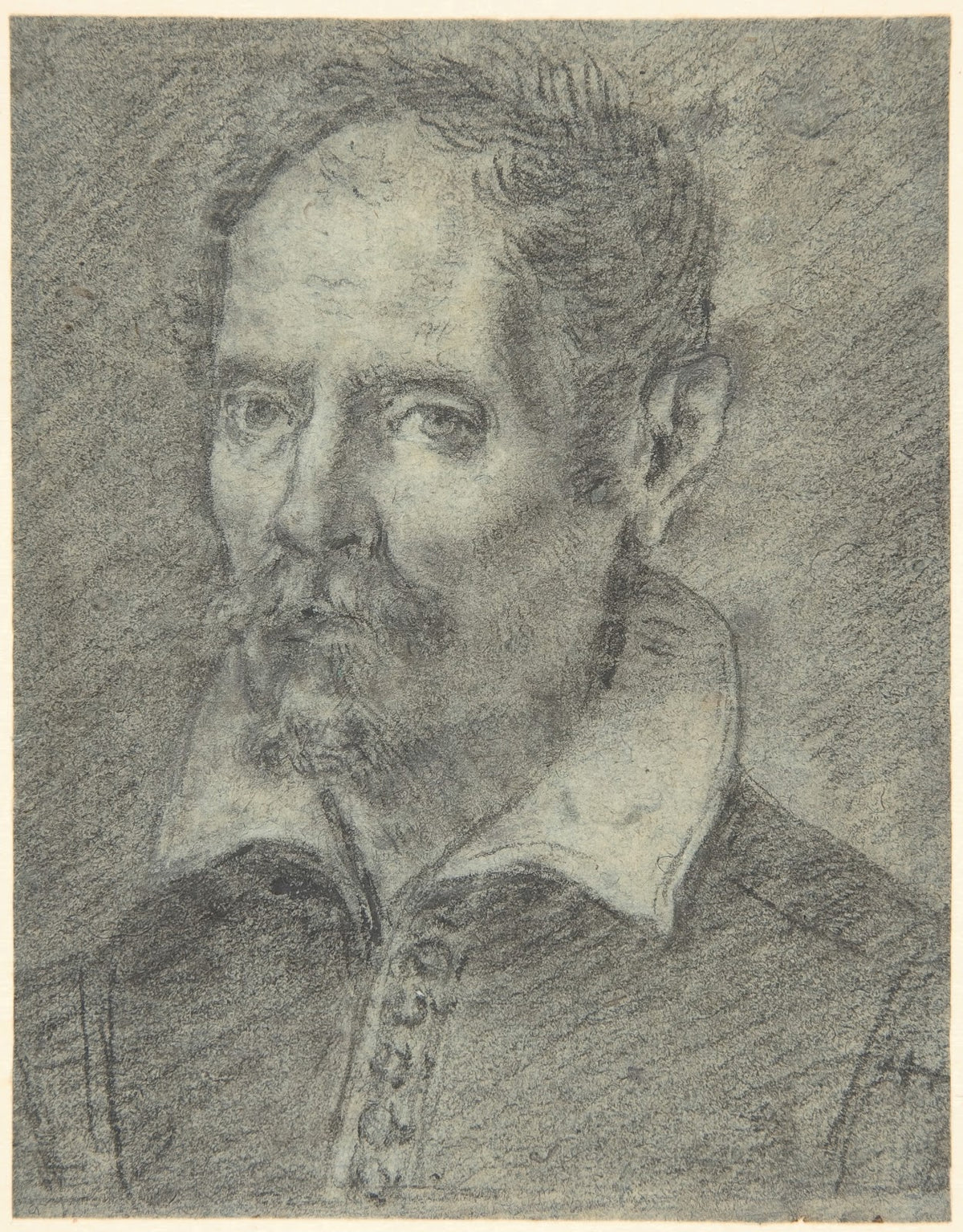 Head of a Bearded Man 15641644