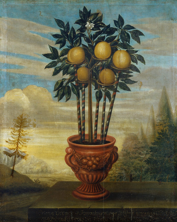 Orange tree in an urn 1733