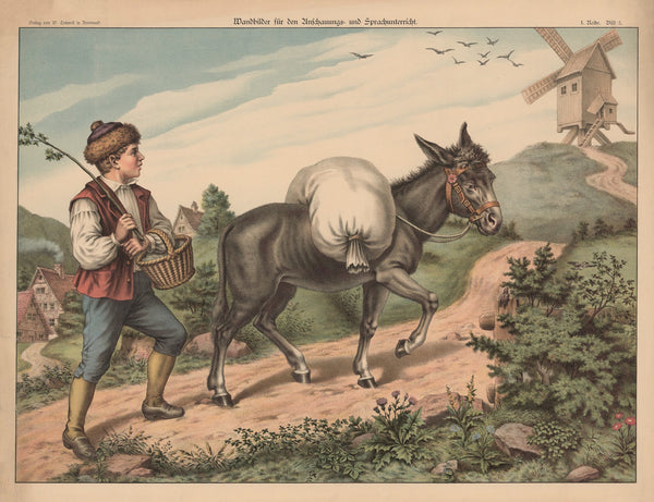 Donkey 1888
