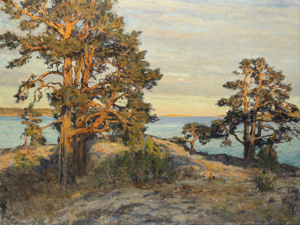 Coastal landscape at sunset