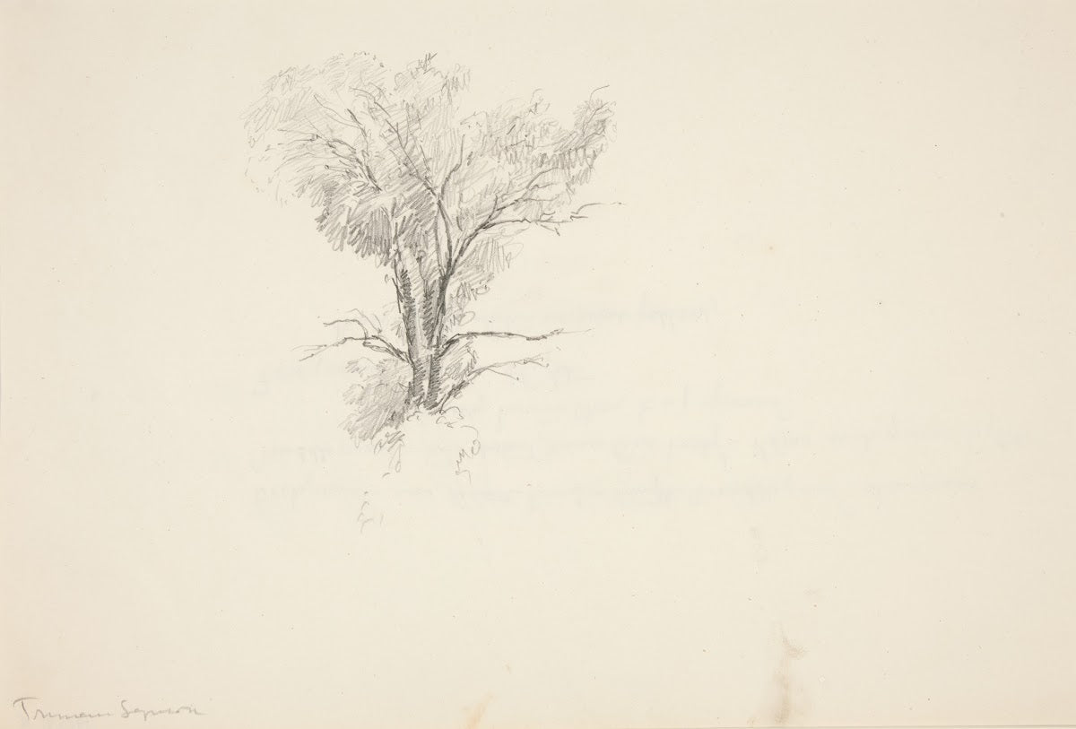 Study of aTree