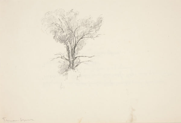 Study of aTree