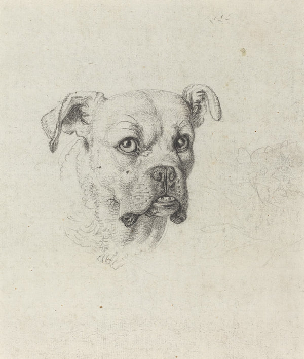 A Boxer c 1795