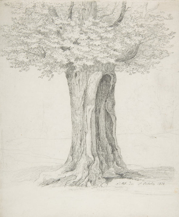 Study of a Tree 1832