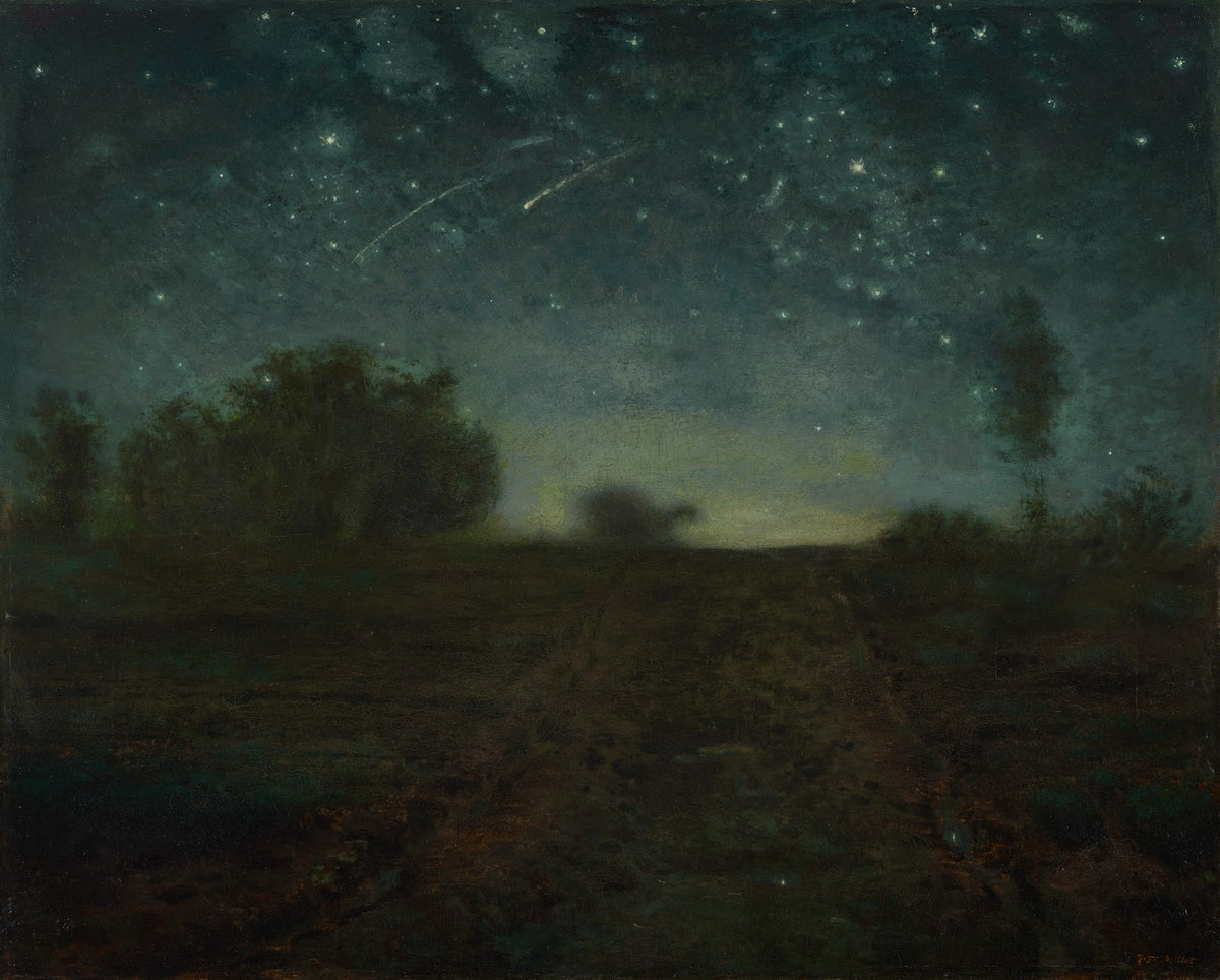 StarryNight ca185065