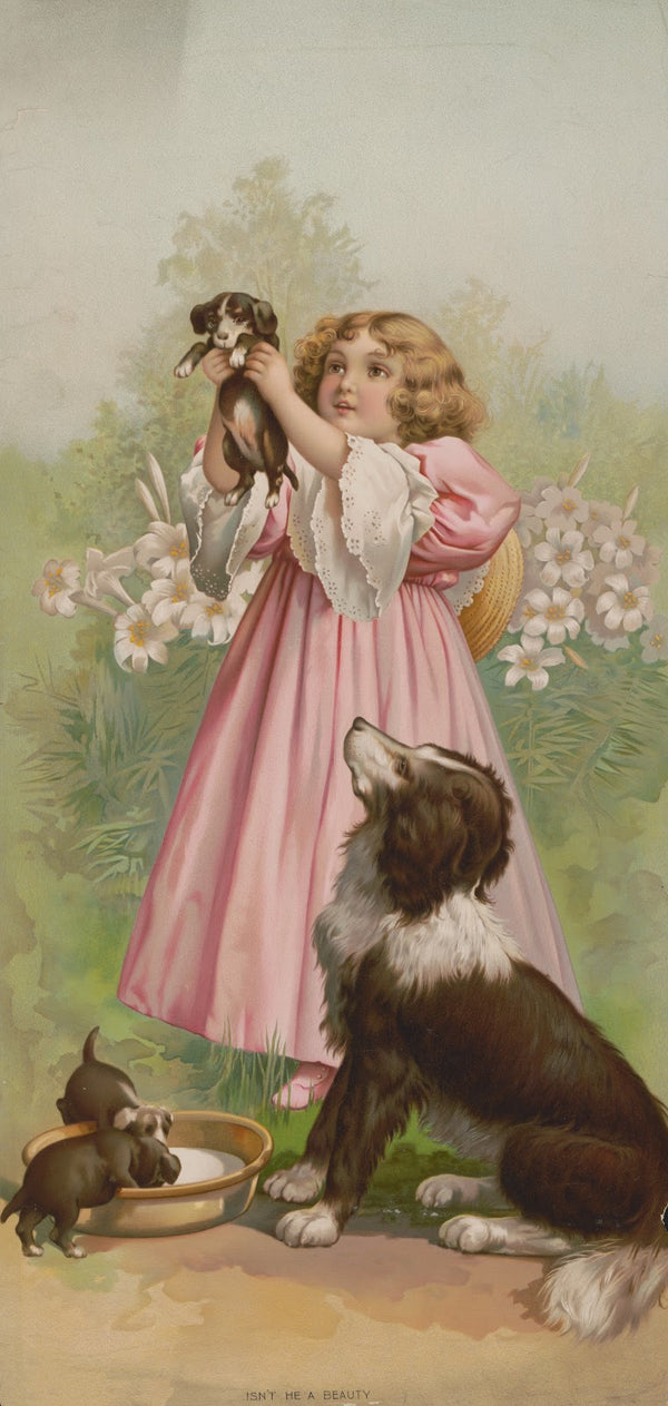 Isnt he a beauty 1898
