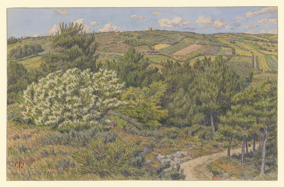 Morgat petit bois à Morgat 1915