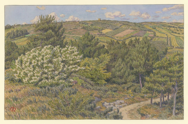 Morgat petit bois à Morgat 1915