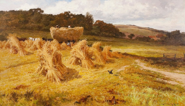 Cornfields near Hastings