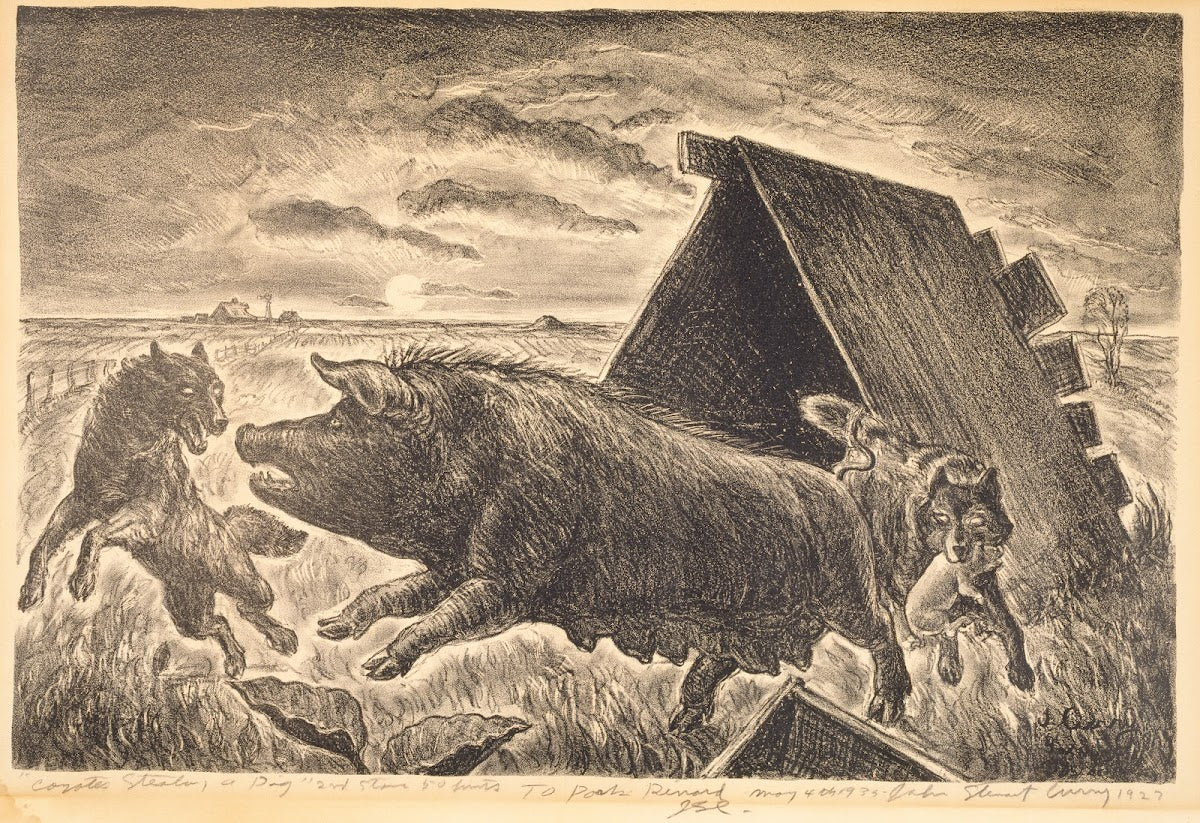 Coyotes Stealing a Pig 1927