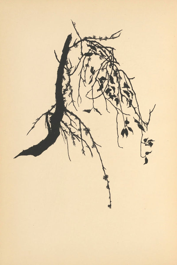 Vertrauen Pl35 1933