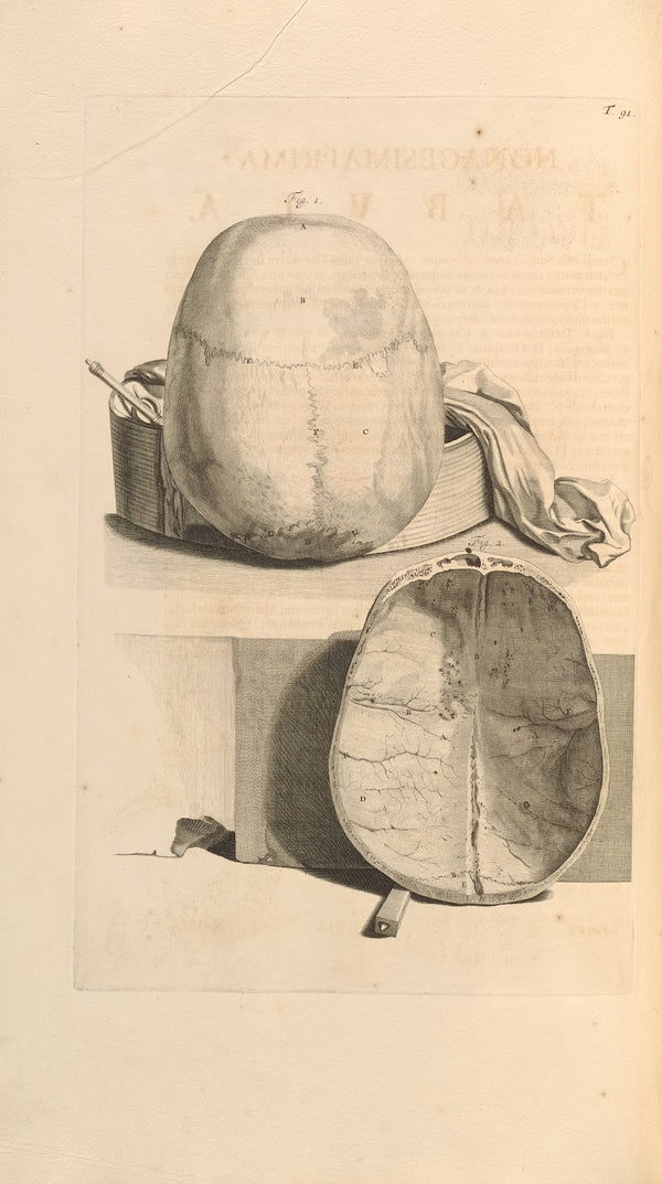 Anatomia humani corporis Pl092 1685