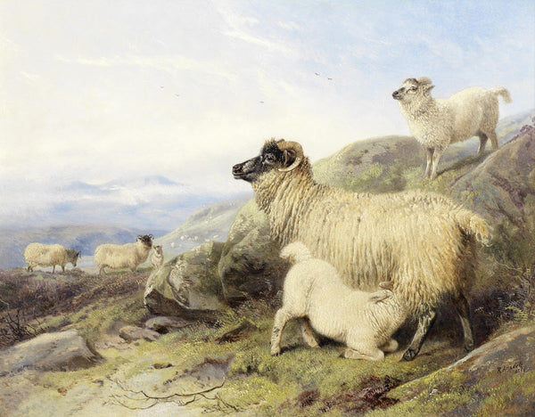 Sheep On A Mountainside 1856