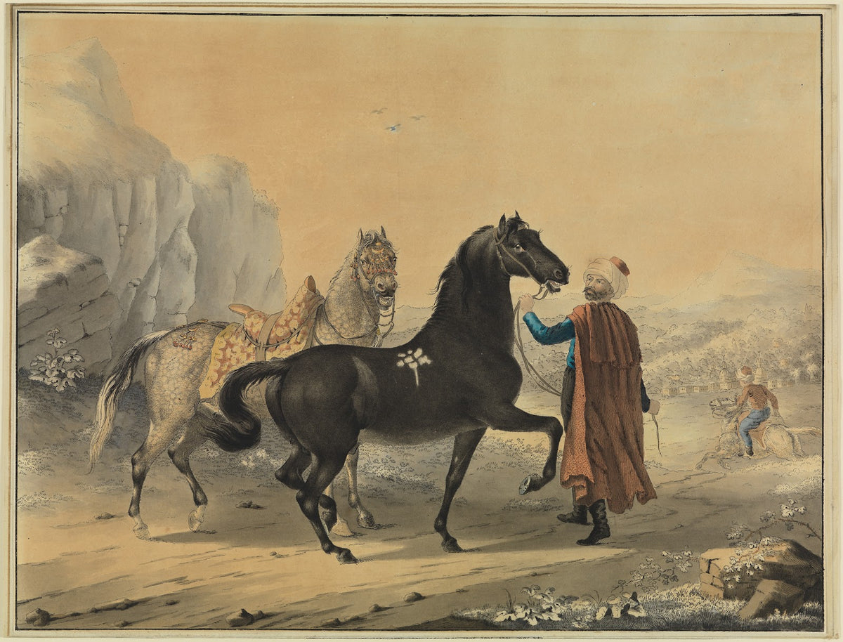Türke mit Rappe und Schimmel
