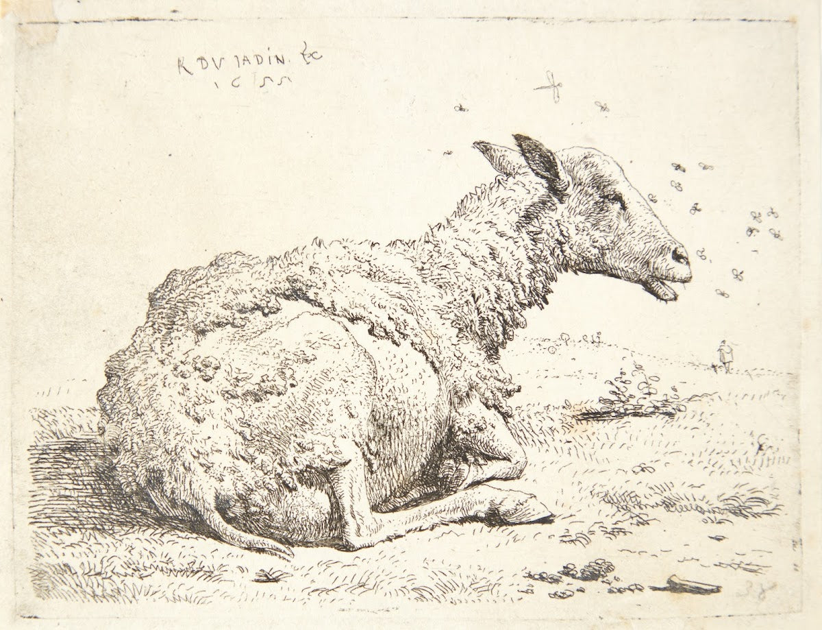 Fåret og fluerne 1655