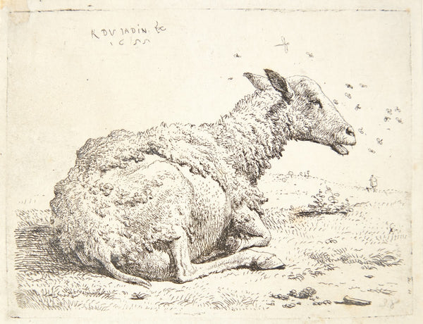 Fåret og fluerne 1655