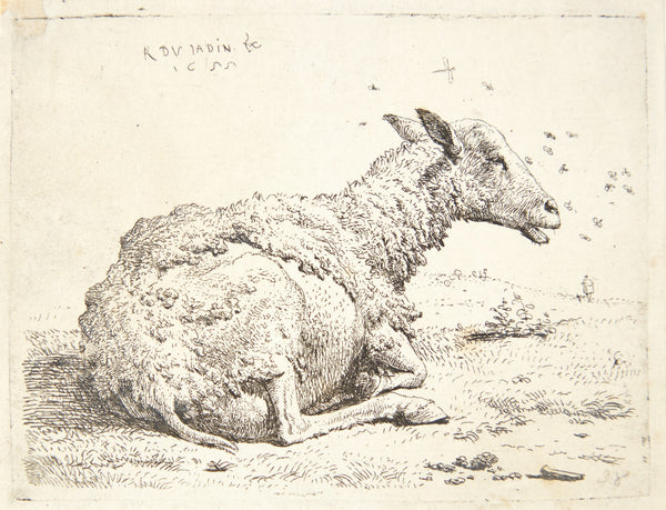 Fåret og fluerne 1655
