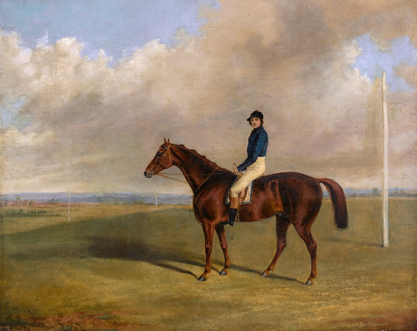 A racehorse with jockey up