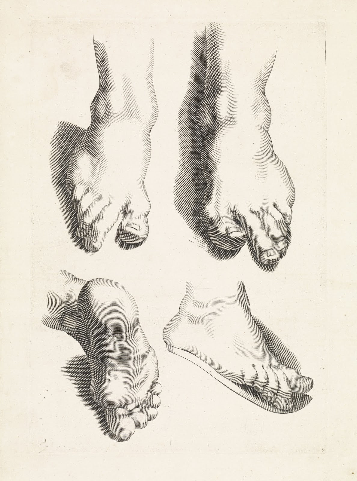 Studies of feet 1616 1657