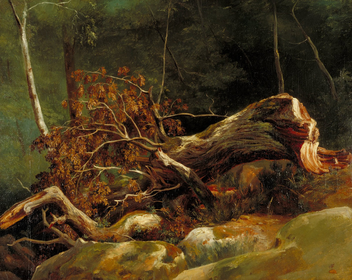 The Fallen Branch Fontainebleau c 1816