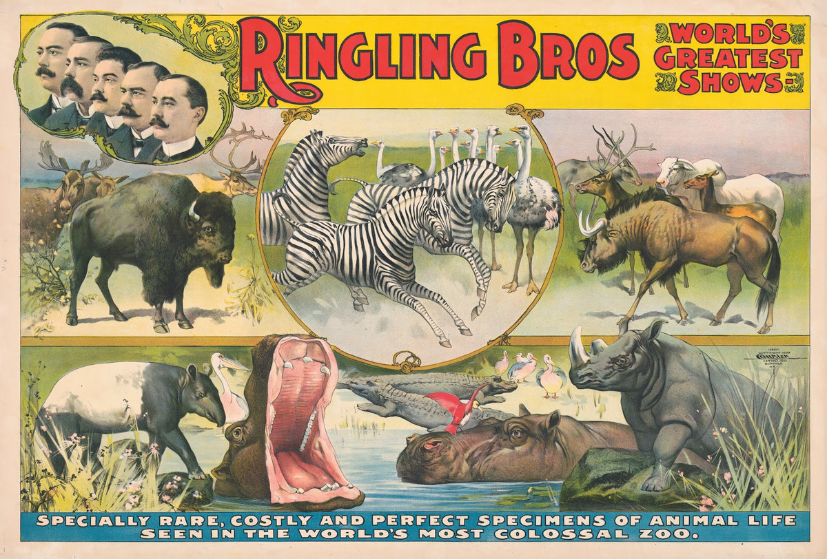 Ringling Bros worlds greatest shows Specially rare costly and perfect specimens
