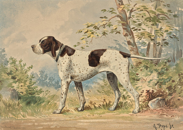 Standing English Pointer facing left 1880