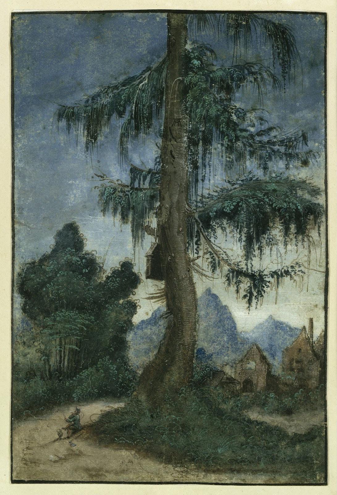 Landscape with spruce circa 1522