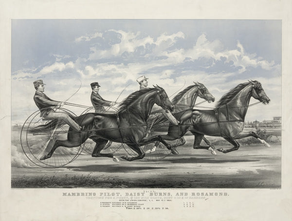 Mambrino Pilot Daisy Burns and Rosamond trotting for a purse 100 mile heats best
