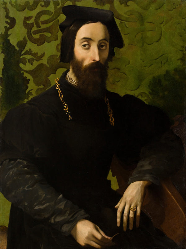 Portrait of a Musician c1540