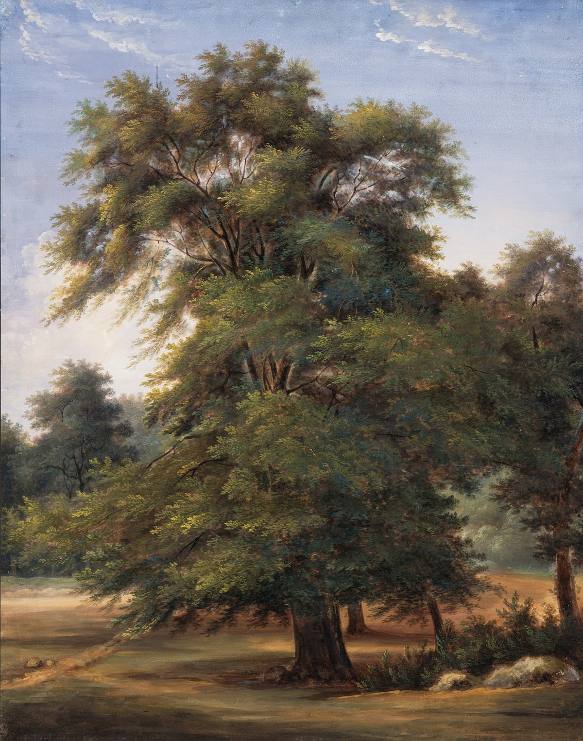Study of a Tree circa 1800 1805