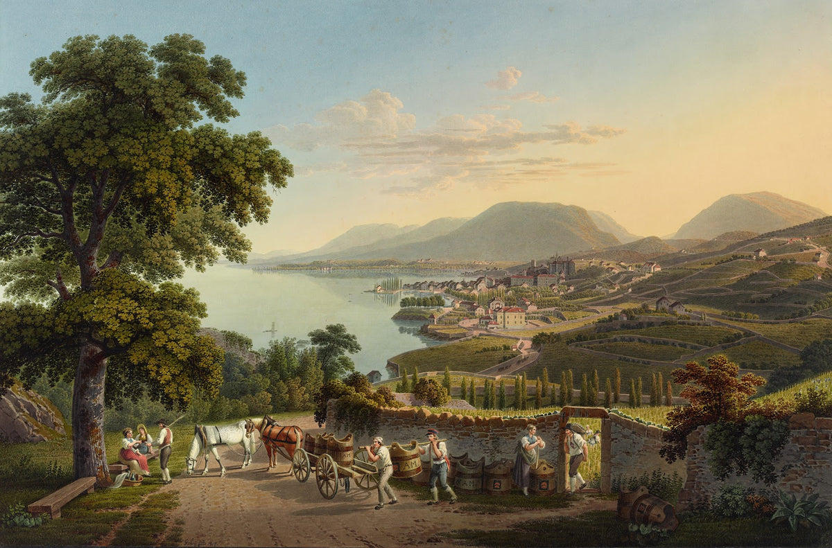 Vue de la Ville de Neuchatel en Suisse 1915 1945