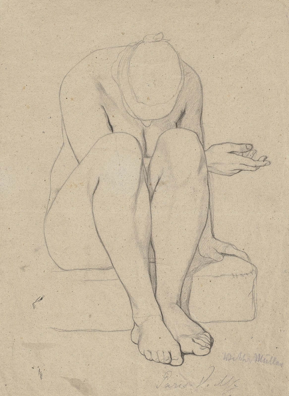 Sitting female nude