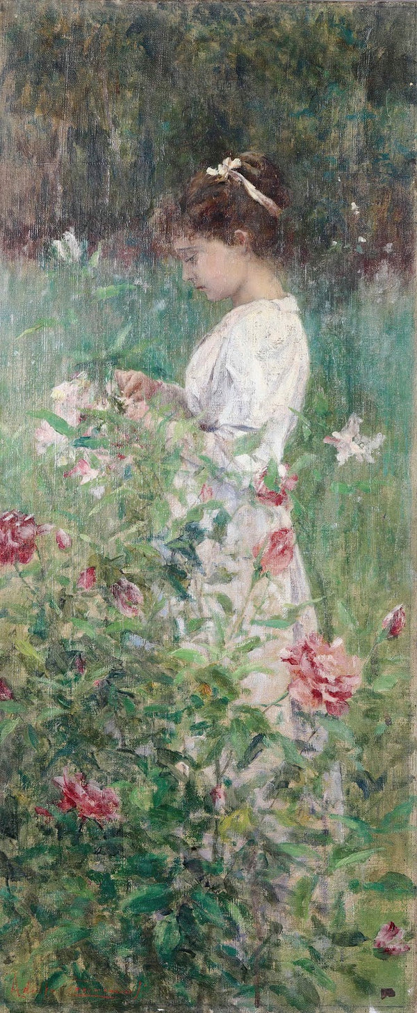 Rose di maggio 1287x3120 (1)