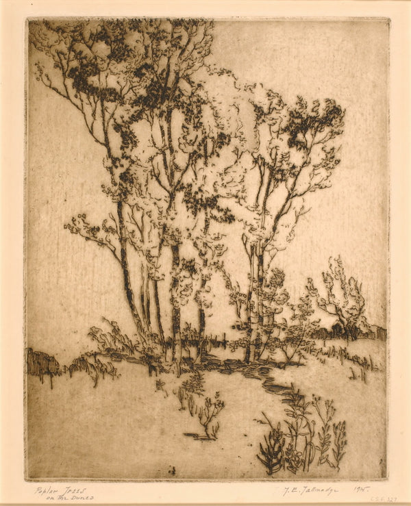 Poplar Trees 1915