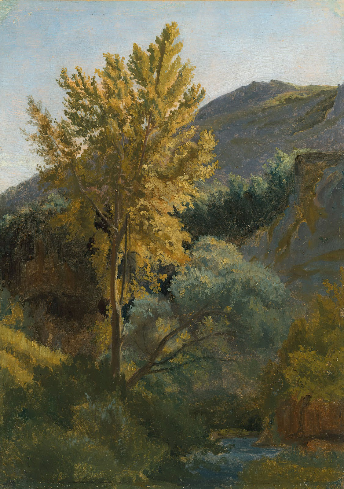 Etude darbre près dun torrent en Italie circa 1826 1827
