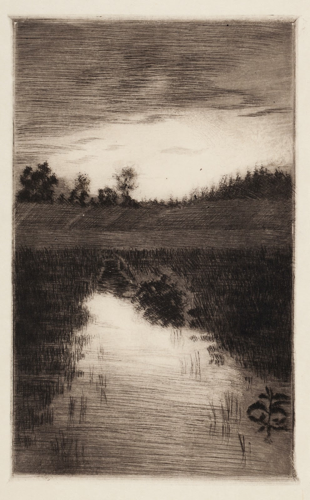 Veto oja 1900 1910
