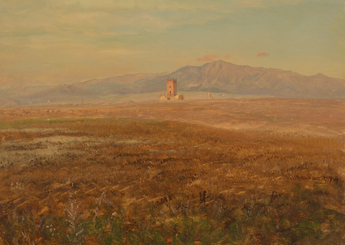 Mexican landscape 1869